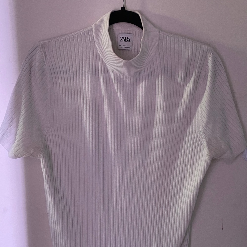 Zara turtleneck
